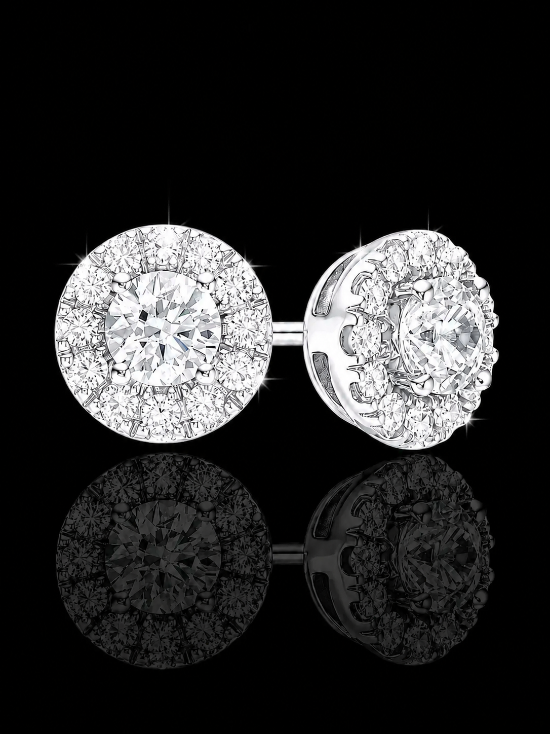 Fossile Earrings